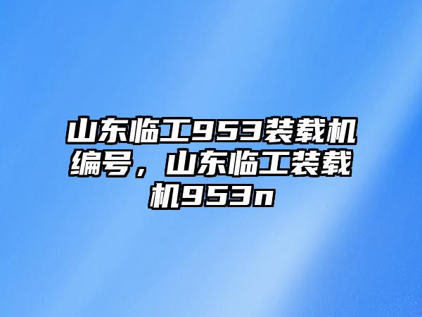 山東臨工953裝載機編號，山東臨工裝載機953n