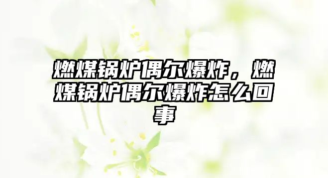 燃煤鍋爐偶爾爆炸，燃煤鍋爐偶爾爆炸怎么回事