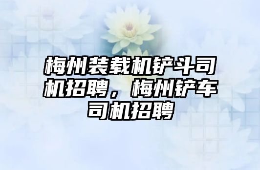 梅州裝載機鏟斗司機招聘，梅州鏟車司機招聘