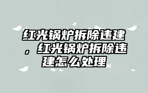 紅光鍋爐拆除違建，紅光鍋爐拆除違建怎么處理