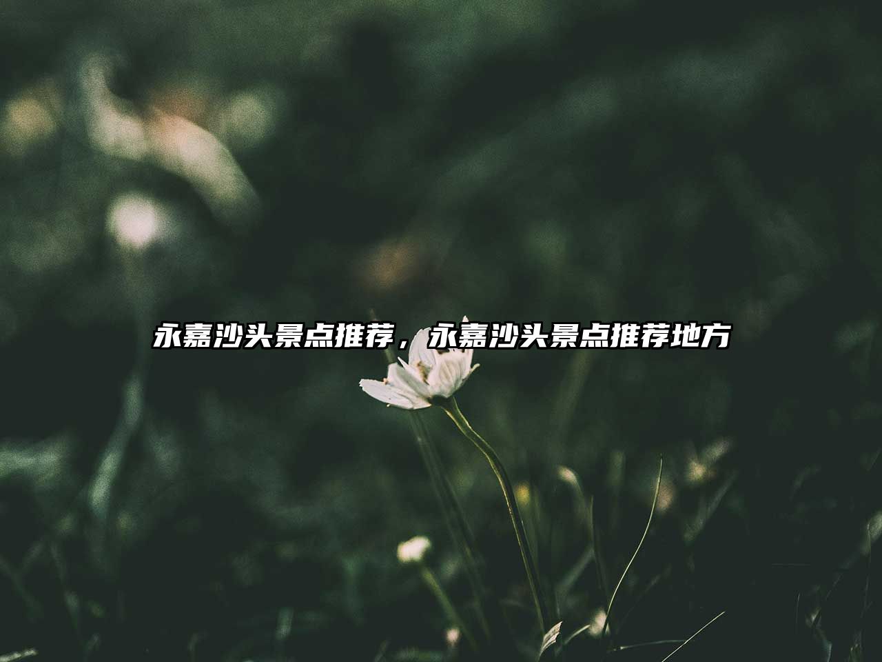 永嘉沙頭景點(diǎn)推薦，永嘉沙頭景點(diǎn)推薦地方