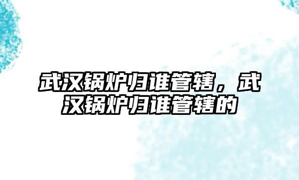 武漢鍋爐歸誰管轄，武漢鍋爐歸誰管轄的