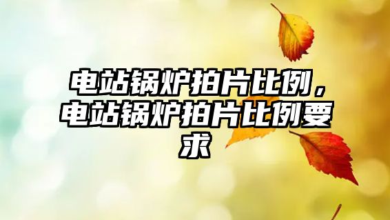 電站鍋爐拍片比例，電站鍋爐拍片比例要求