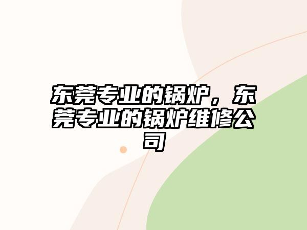 東莞專業(yè)的鍋爐，東莞專業(yè)的鍋爐維修公司