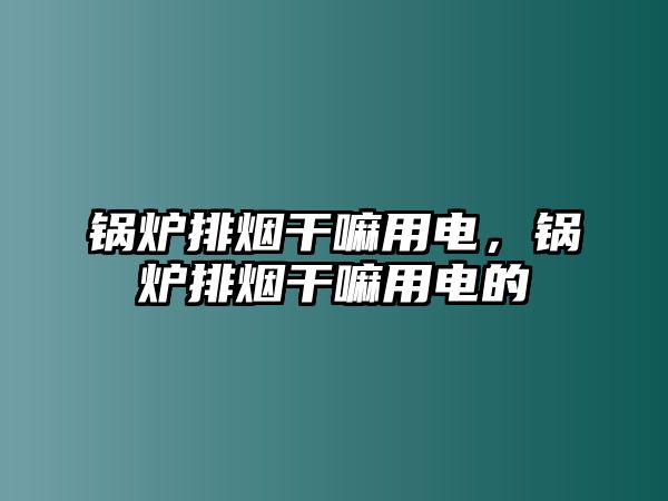 鍋爐排煙干嘛用電，鍋爐排煙干嘛用電的