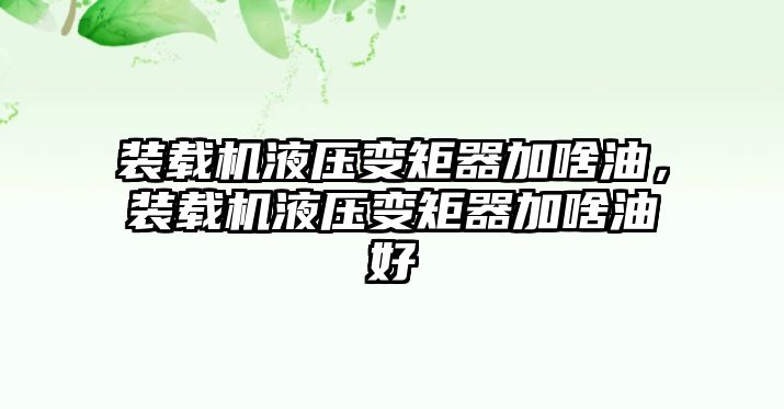 裝載機液壓變矩器加啥油，裝載機液壓變矩器加啥油好