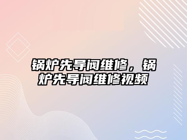 鍋爐先導(dǎo)閥維修，鍋爐先導(dǎo)閥維修視頻