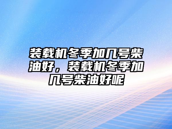 裝載機(jī)冬季加幾號(hào)柴油好，裝載機(jī)冬季加幾號(hào)柴油好呢