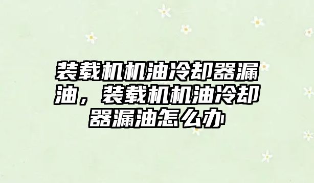 裝載機機油冷卻器漏油，裝載機機油冷卻器漏油怎么辦