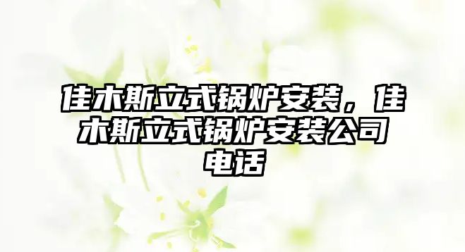 佳木斯立式鍋爐安裝，佳木斯立式鍋爐安裝公司電話