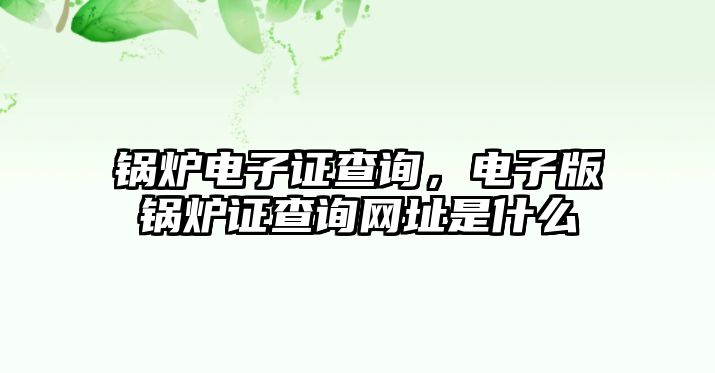 鍋爐電子證查詢，電子版鍋爐證查詢網(wǎng)址是什么