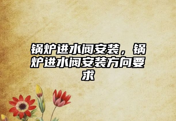 鍋爐進(jìn)水閥安裝，鍋爐進(jìn)水閥安裝方向要求