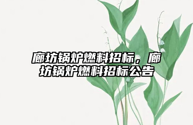 廊坊鍋爐燃料招標(biāo)，廊坊鍋爐燃料招標(biāo)公告