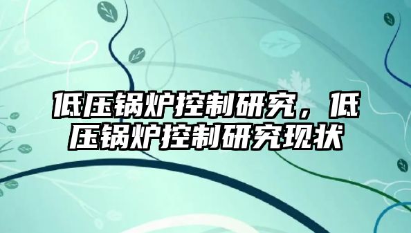 低壓鍋爐控制研究，低壓鍋爐控制研究現(xiàn)狀